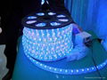  LED Rope Lights (CE, GS, BS,RoHS ) 1