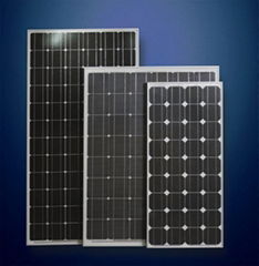 Mono Solar Module