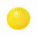 toy ball,gift ball, pvc ball, soft ball, sports jumping toy ball 2