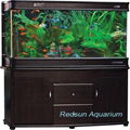 Cabinet aquarium 1