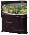 Cabinet aquarium 2