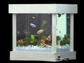 Table aquarium 1