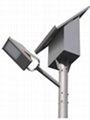 solar street light 1