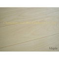 Maple Hardwood floor Natural color