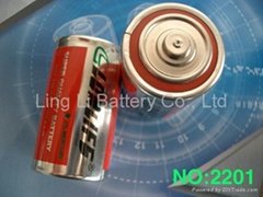 dry battery R20 (D)