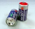 dry battery R14 (C)