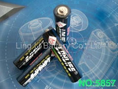 dry battery R03 (AAA) with PVC jacket