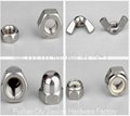 Stainless steel nuts 1