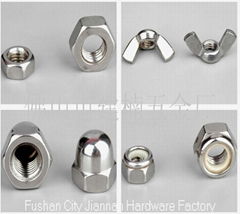 Stainless steel nuts