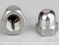 Stainless steel nuts 2
