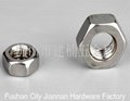 Stainless steel nuts 3