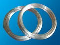 galvanized iron wire 2