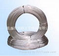 Electro Galvanized Wire 1