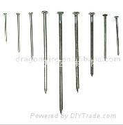 common nails,roofing nails,wire nail