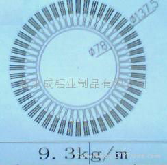 太阳花LED灯型材 5