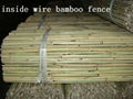 Inside Wire Bamboo Fence 1