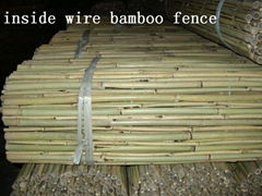 Inside Wire Bamboo Fence