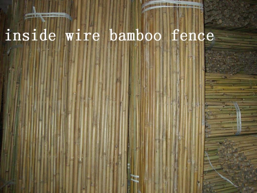 Inside Wire Bamboo Fence 2