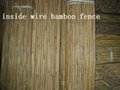 Inside Wire Bamboo Fence 2