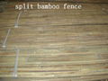 Split Bamboo Fence