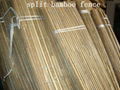 Split Bamboo Fence 2