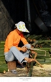 Flower Sticks/Bamboo Sticks 2