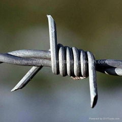 barbed wire