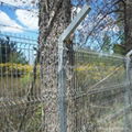 Mesh Fence