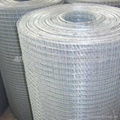 Welded Wire Mesh 4