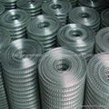 Welded Wire Mesh 5