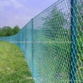 Chain Link Fence