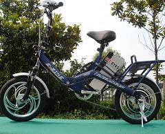 e bike