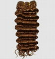 Human Hair Extension : Deep Wave 1