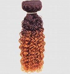 Human Hair Extension : Water Wave