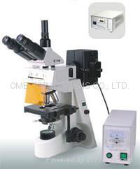 Fluorescence Microscope 2