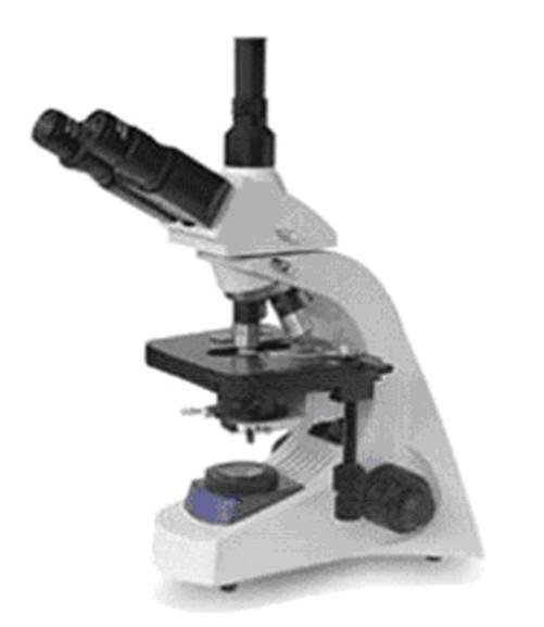 Biological Microscope (Infinity Optical System)