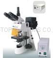 Fluorescence Microscope 1