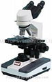 Biological Microscope (Best C/P Value)