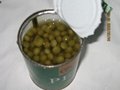 canned green peas 2