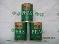 canned green peas 5