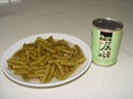 Canned String beans 1