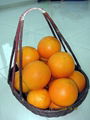 navel orange 5