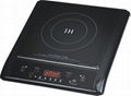 Induction Cooker 2