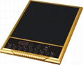 Induction cooker