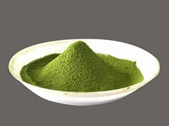 matcha powder