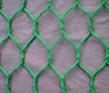 Chain Link Fence  2