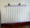 radiator 1