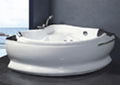 Sell bathtub ,Acrylic Bathtubs,Spa Bathtubs,Accessories-Shower panel 1