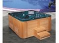 Sell bathtub ,Acrylic Bathtubs,Spa Bathtubs,Accessories-Shower panel 4