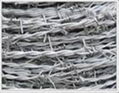 Galvanized Barbed Iron Wire